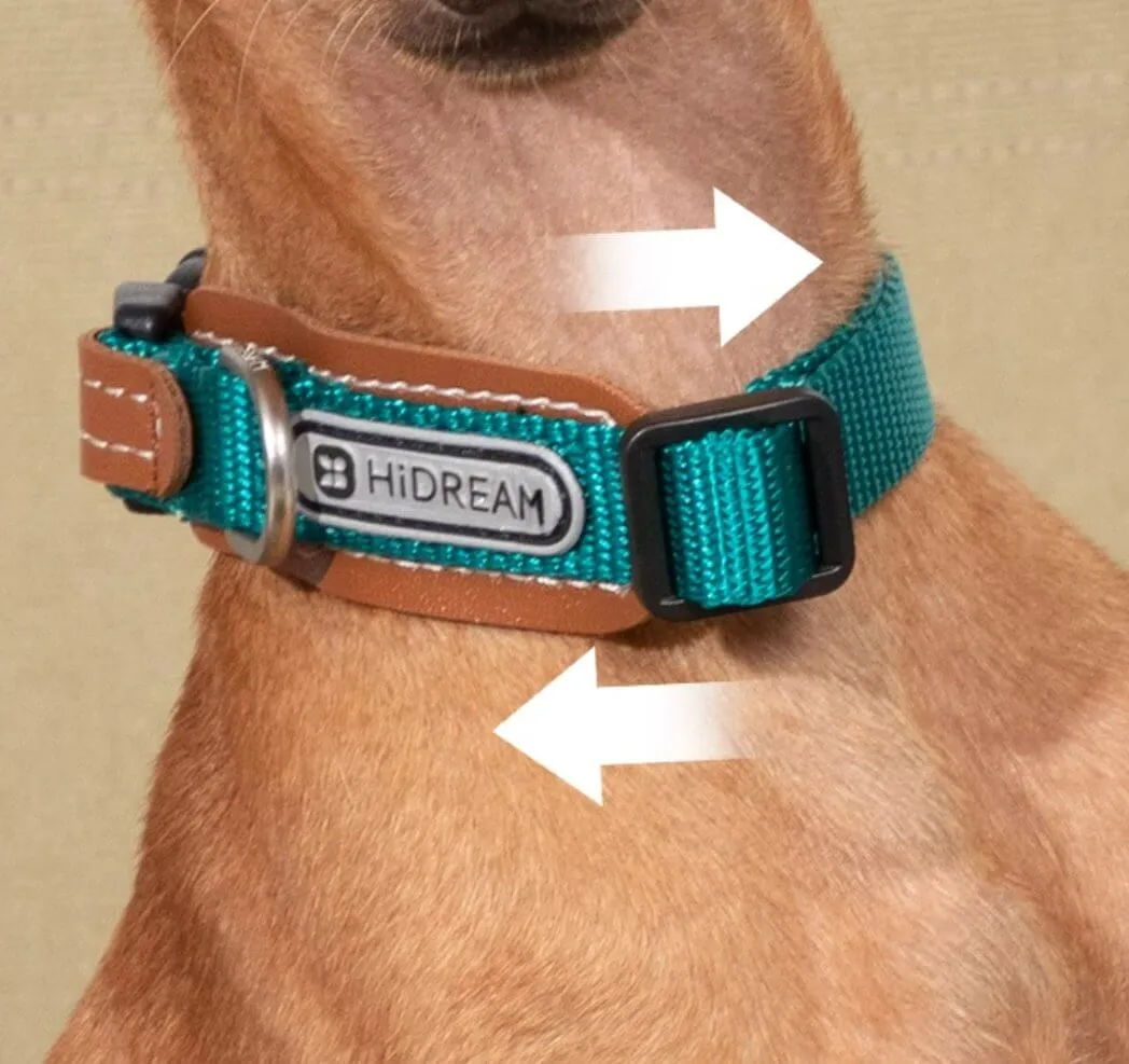 HiDREAM Simple and Durable Multi-functional Nylon Leather Dog Collar for All Size Dogs 40kg